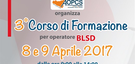 Corso-BLSD